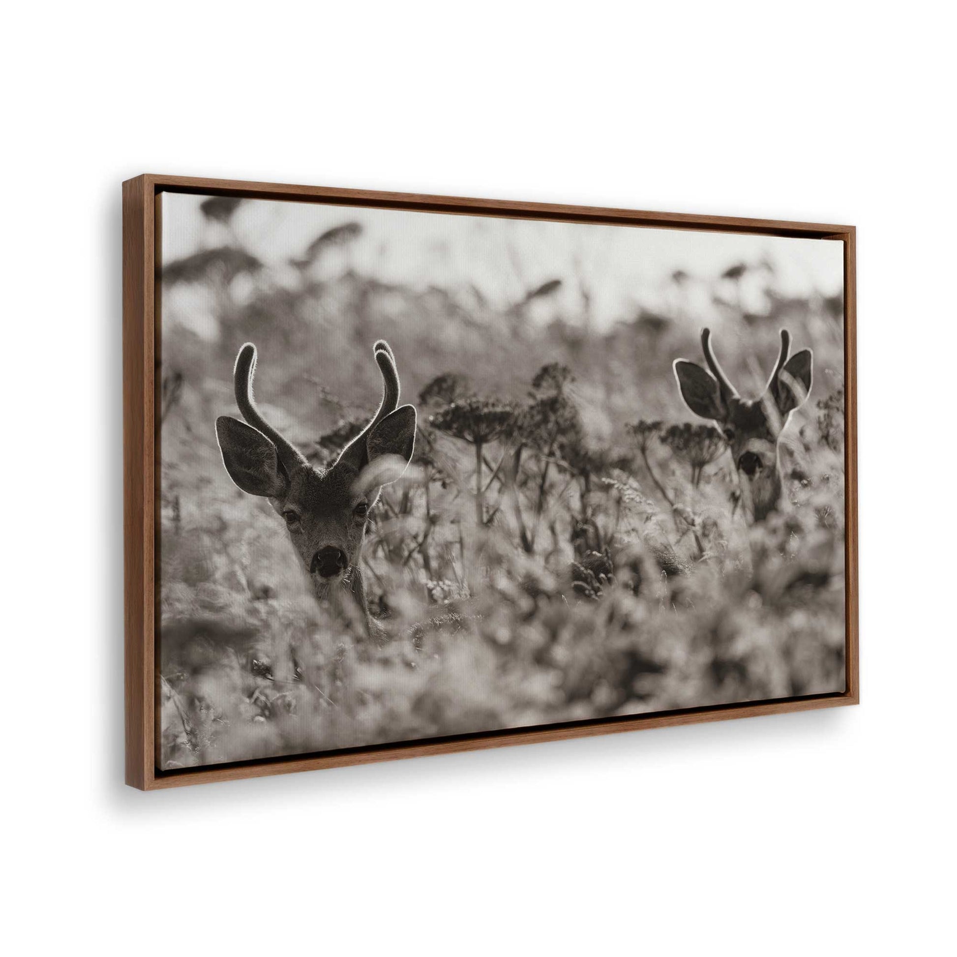 [Color:Walnut], Picture of the corner of the art