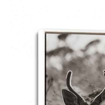 [Color:Opaque White], Picture of art in a White frame at an angle