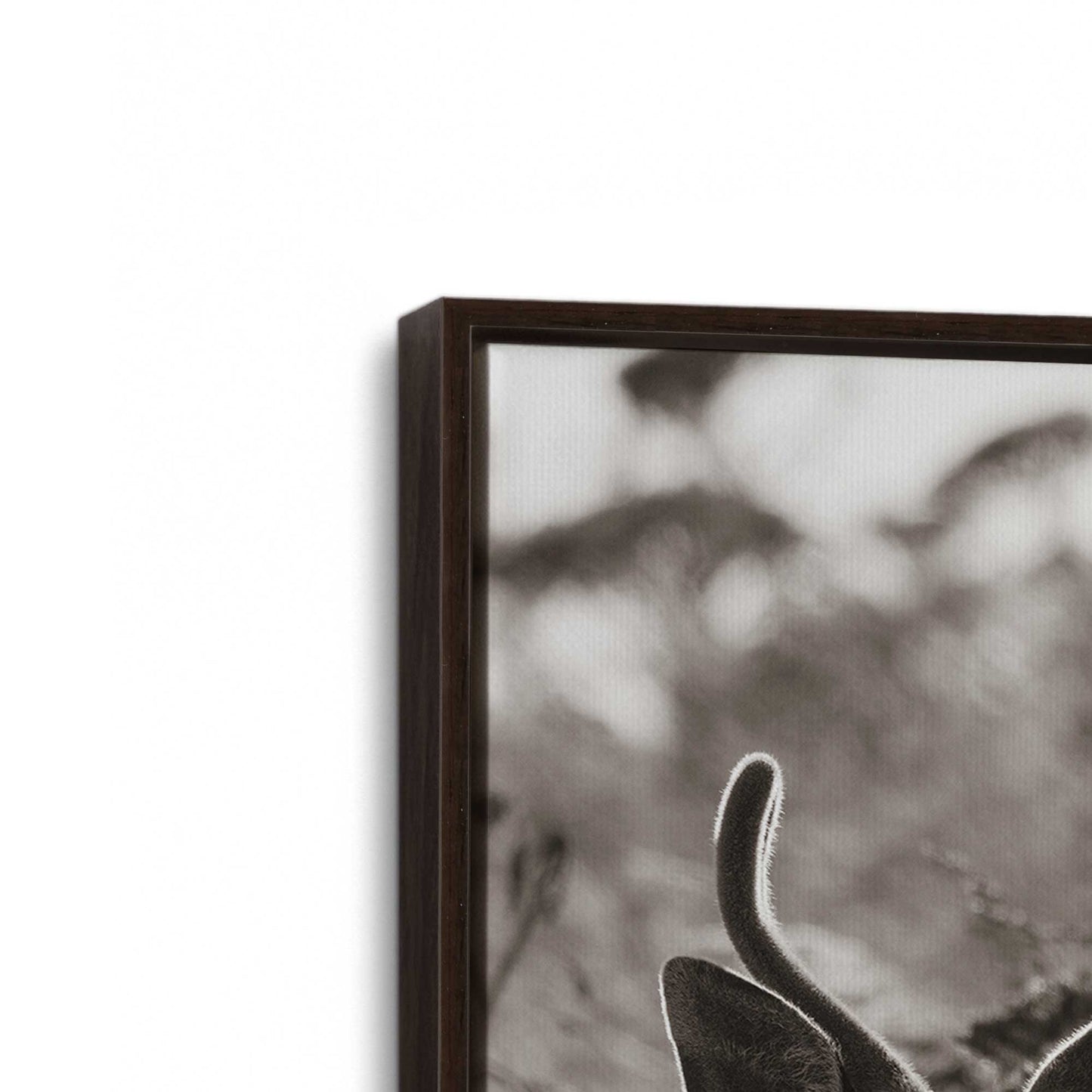 [Color:Espresso], Picture of art in a Espresso frame at an angle