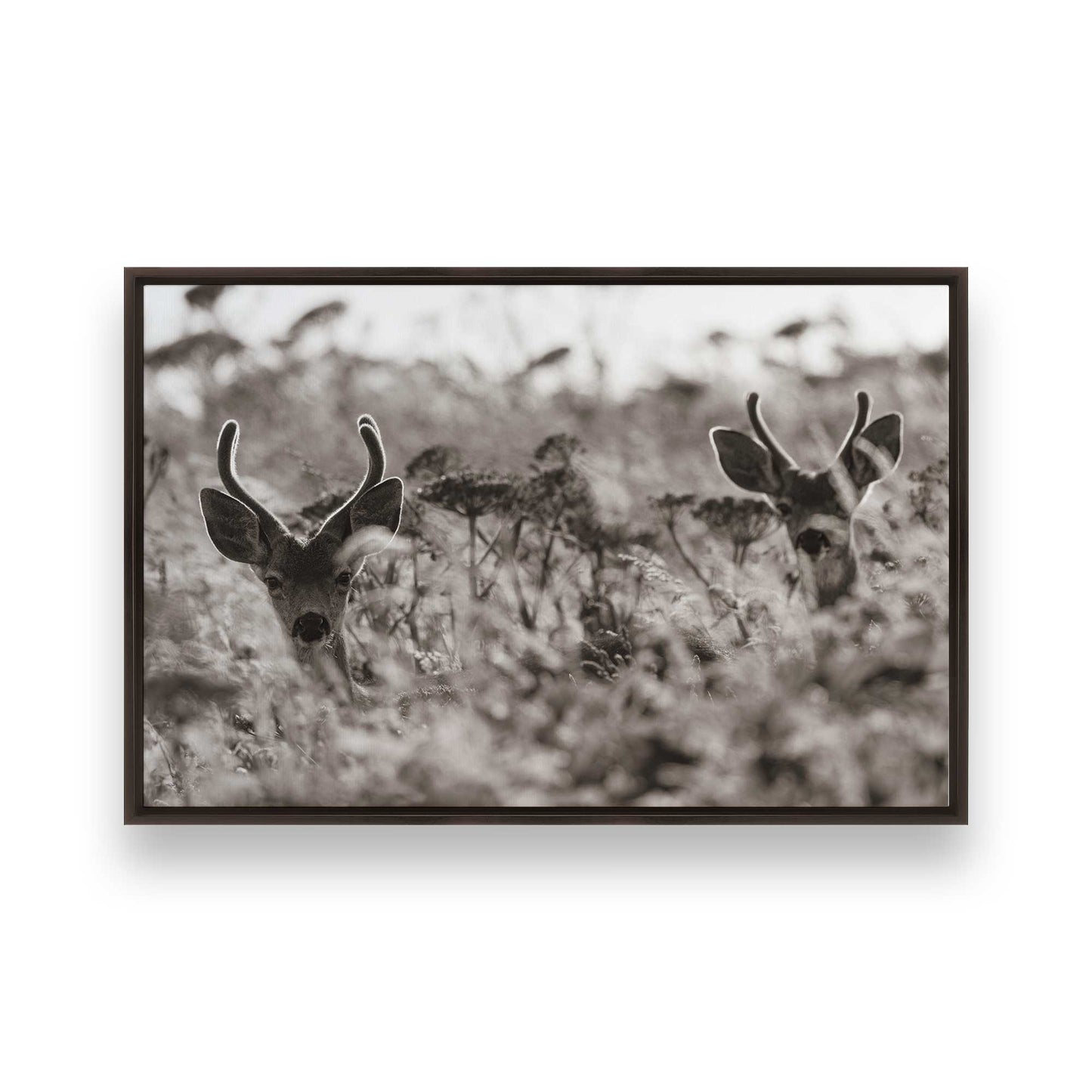 [Color:Espresso], Picture of art in a Espresso frame