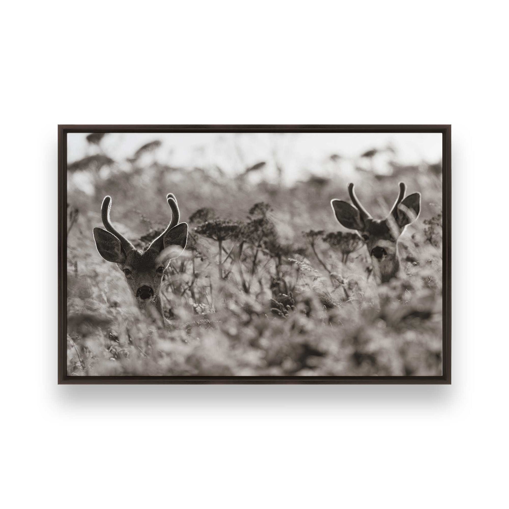 [Color:Espresso], Picture of art in a Espresso frame