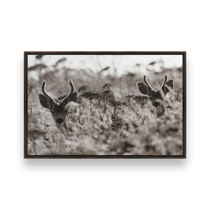 [Color:Espresso], Picture of art in a Espresso frame