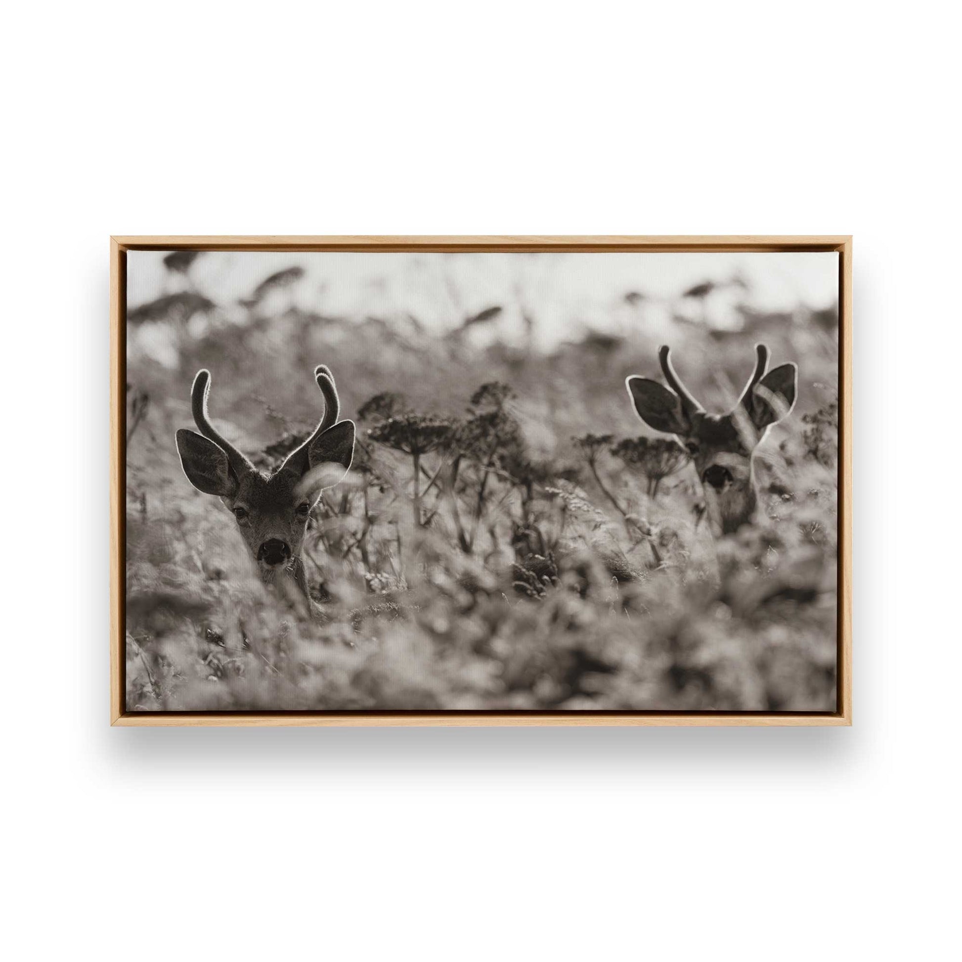 [Color:American Maple], Picture of art in a American Maple frame