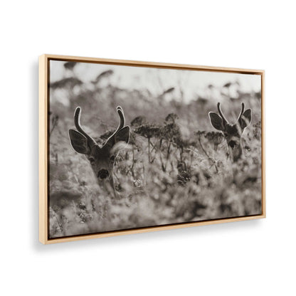 [Color:American Maple], Picture of the corner of the art