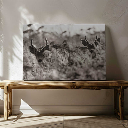 Picture of art in a room