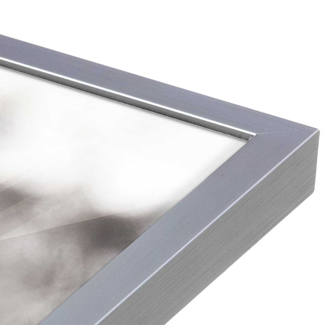 [Color:Polished Chrome], Picture of art in a Polished Chrome frame at an angle