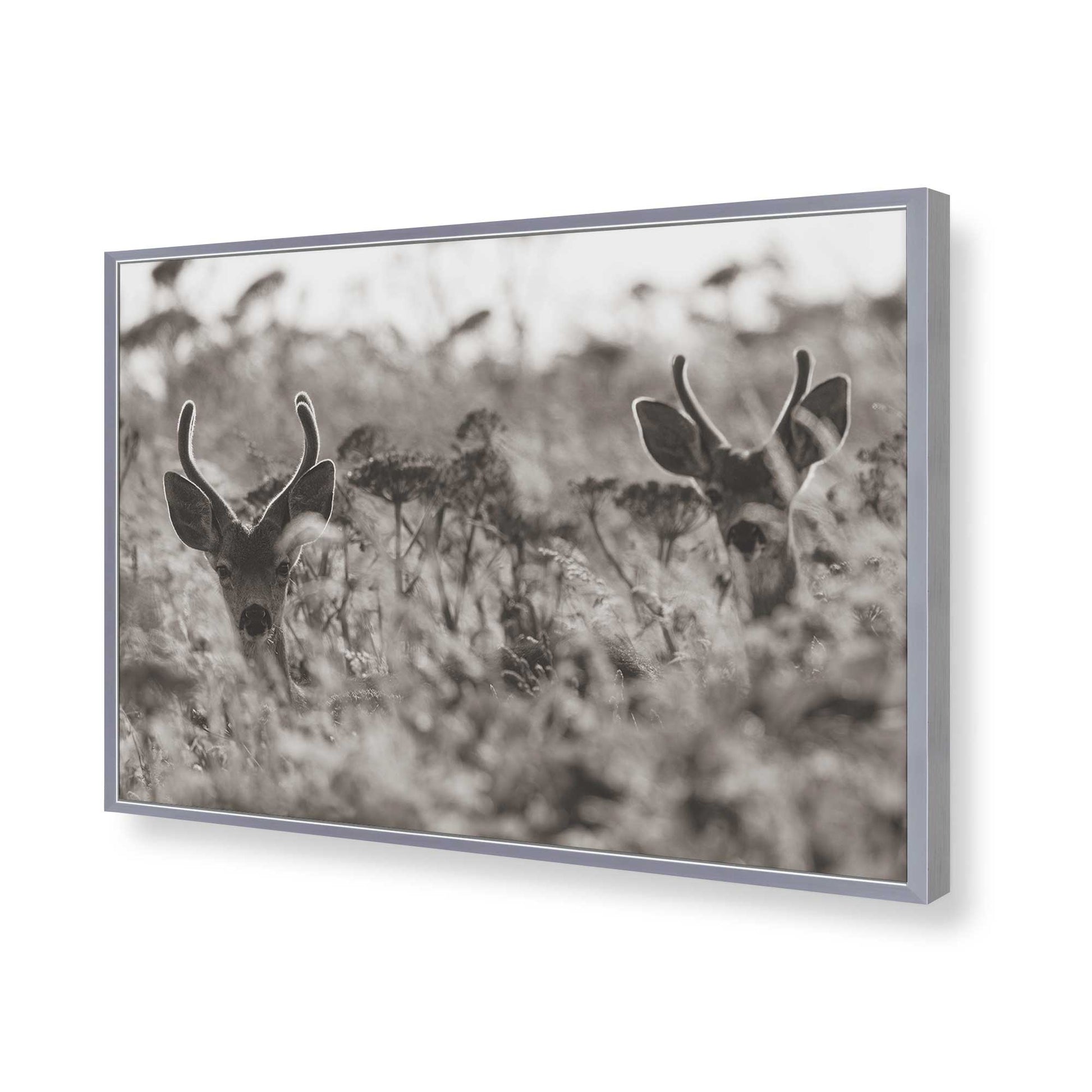 [Color:Polished Chrome], Picture of art in a Polished Chrome frame of the corner
