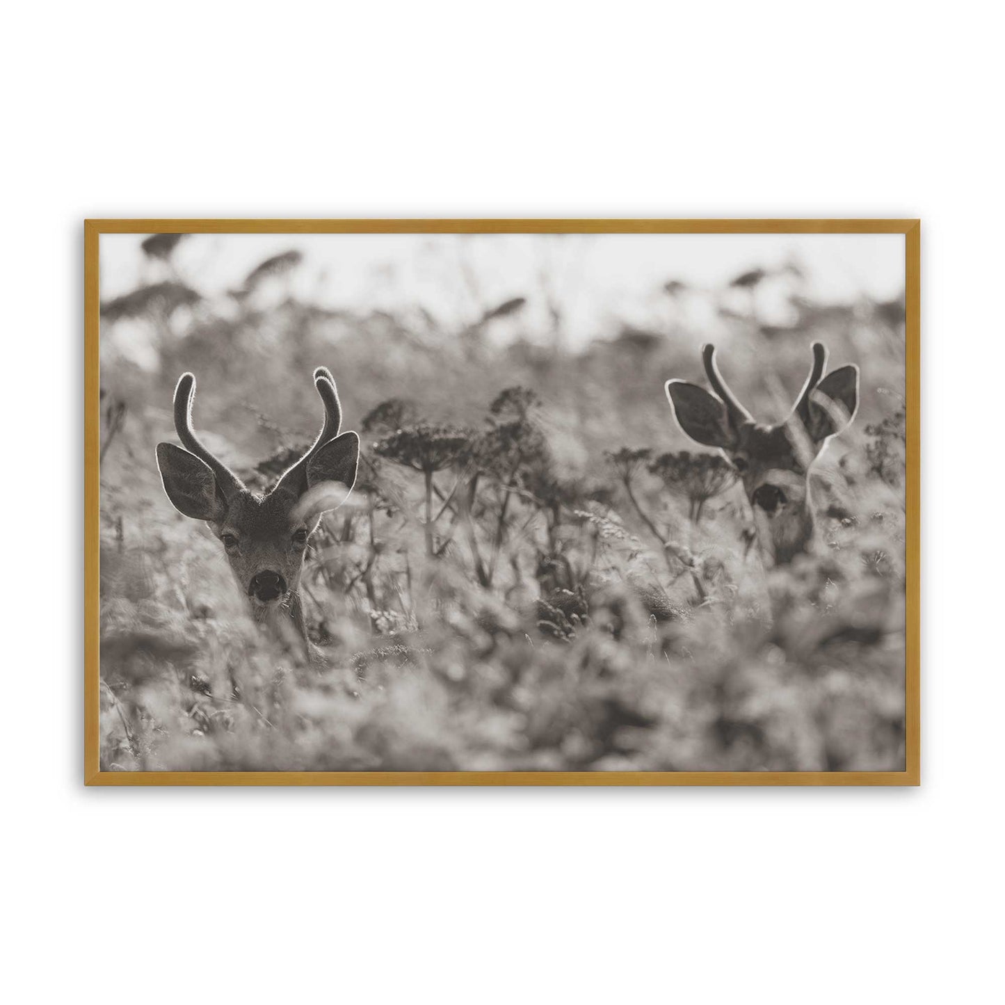 [Color:Polished Gold], Picture of art in a Polished Gold frame