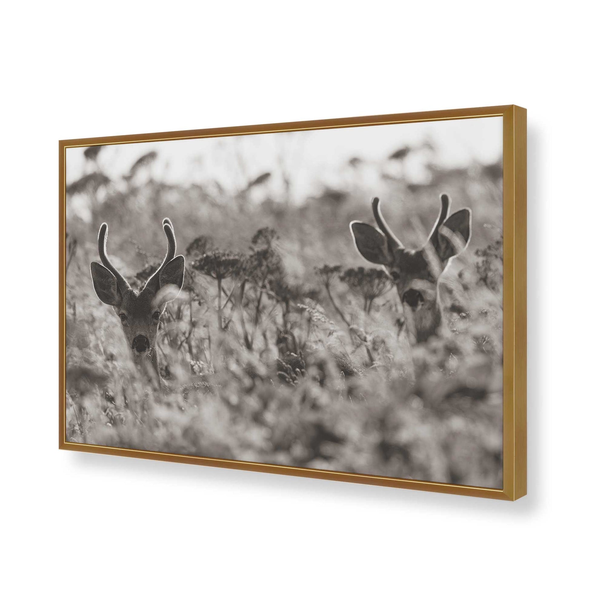 [Color:Polished Gold], Picture of art in a Polished Gold frame of the corner