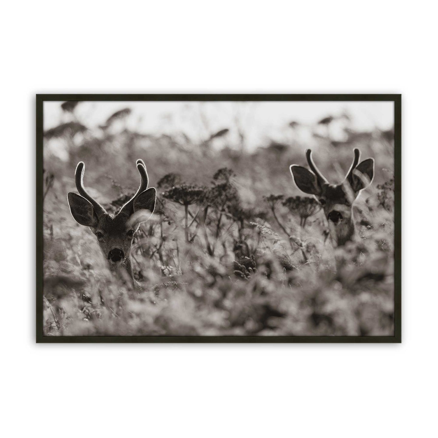 [Color:Satin Black], Picture of art in a Satin Black frame