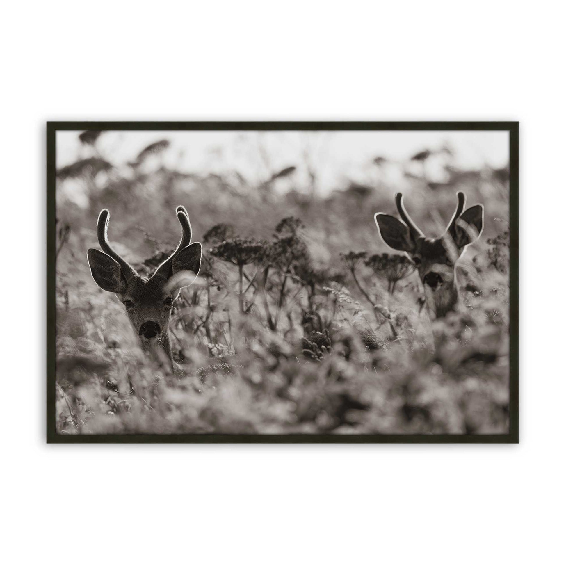 [Color:Satin Black], Picture of art in a Satin Black frame