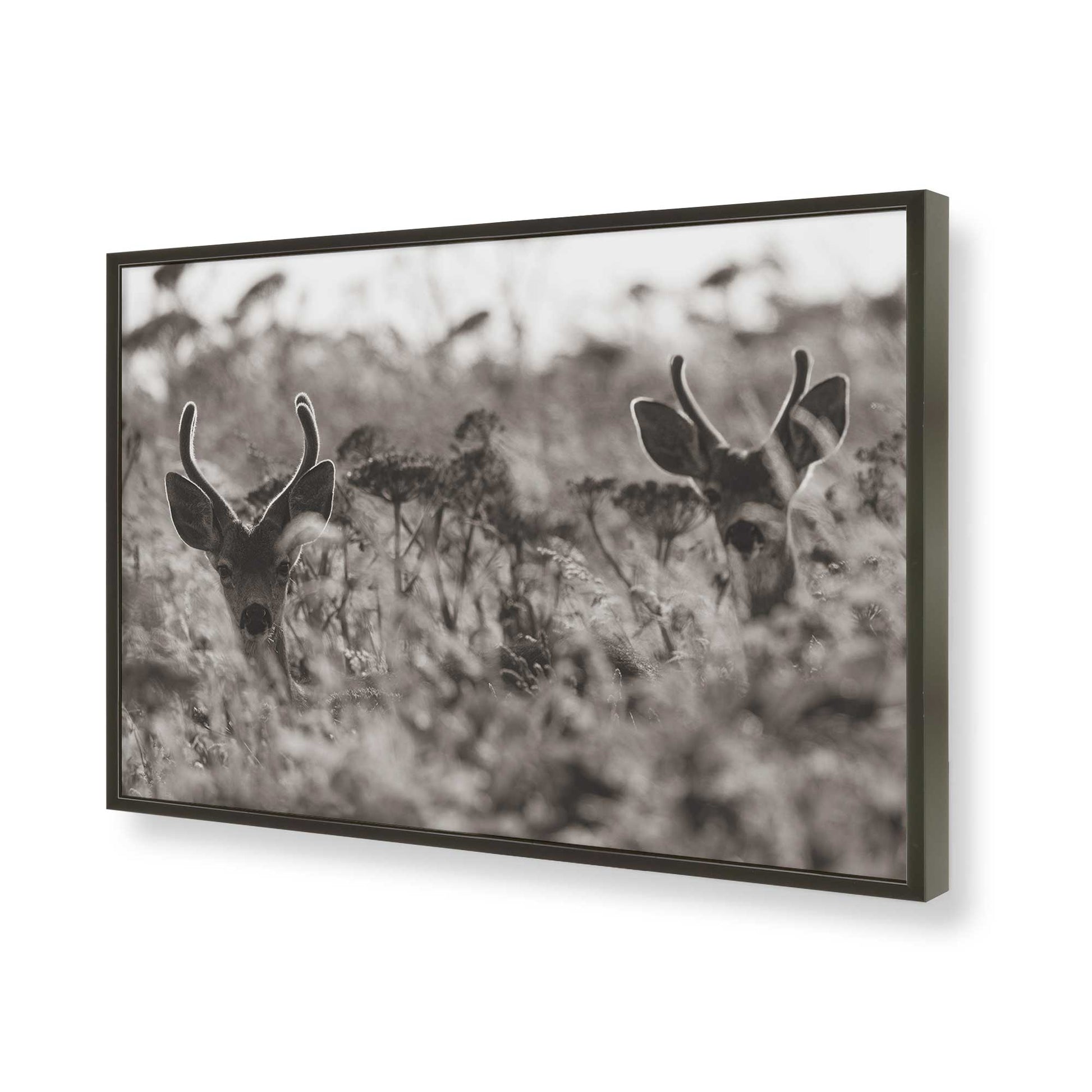 [Color:Satin Black], Picture of art in a Satin Black frame of the corner