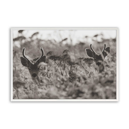 [Color:Opaque White], Picture of art in a Opaque White frame