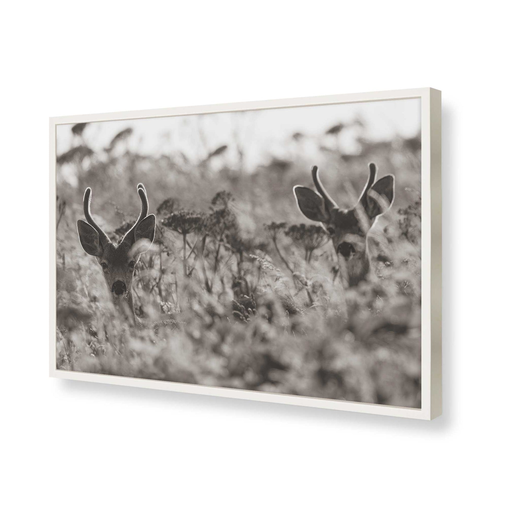 [Color:Opaque White], Picture of art in a Opaque White frame of the corner