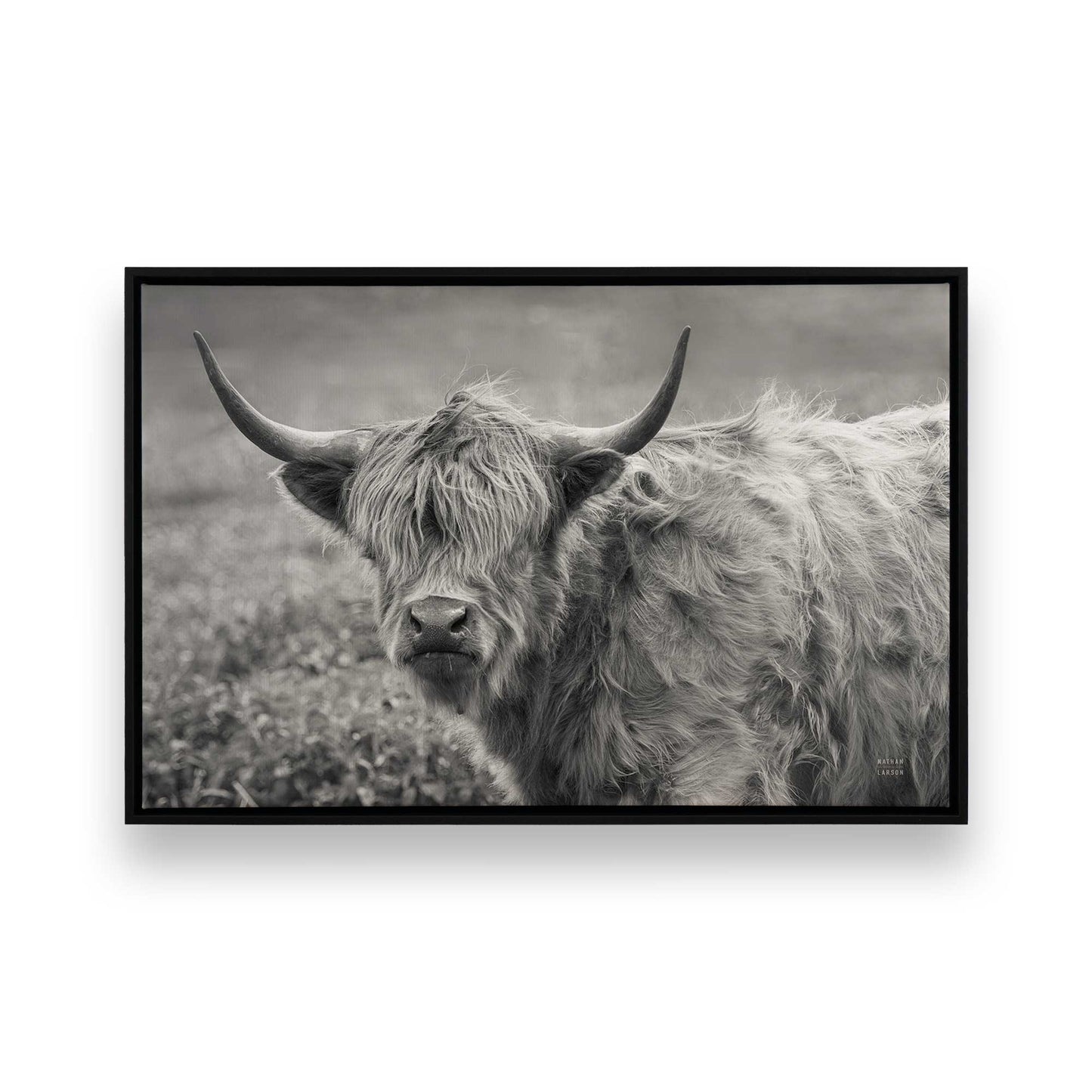 [Color:Satin Black], Picture of art in a Satin Black frame