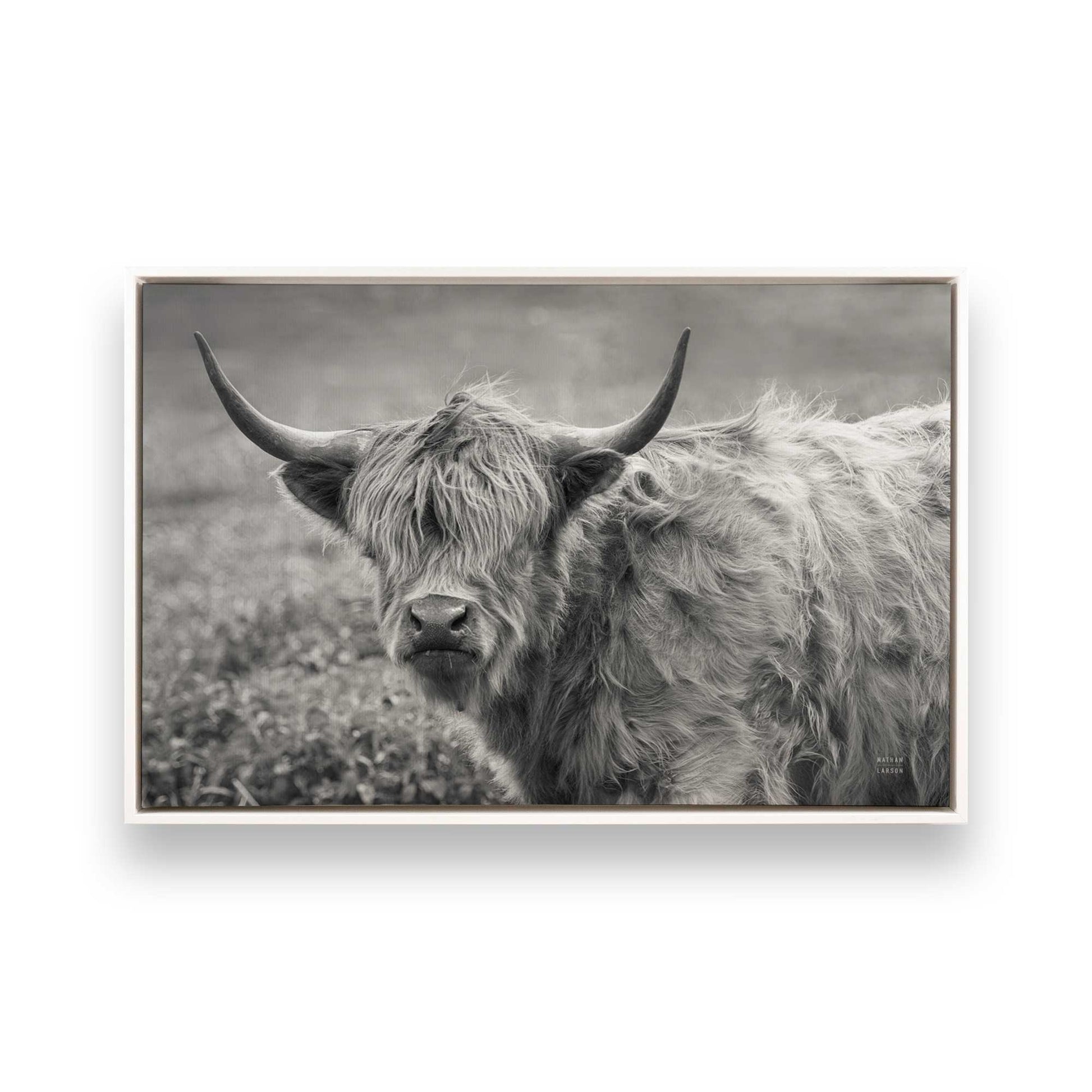 [Color:Opaque White], Picture of art in a White frame