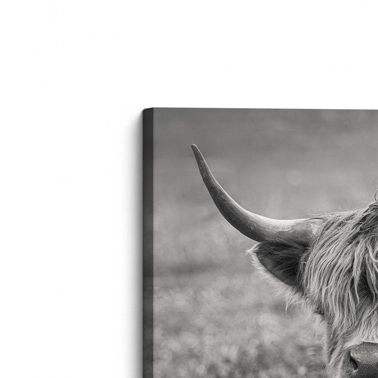 [Color:Stretched Canvas], Picture of the corner of the art