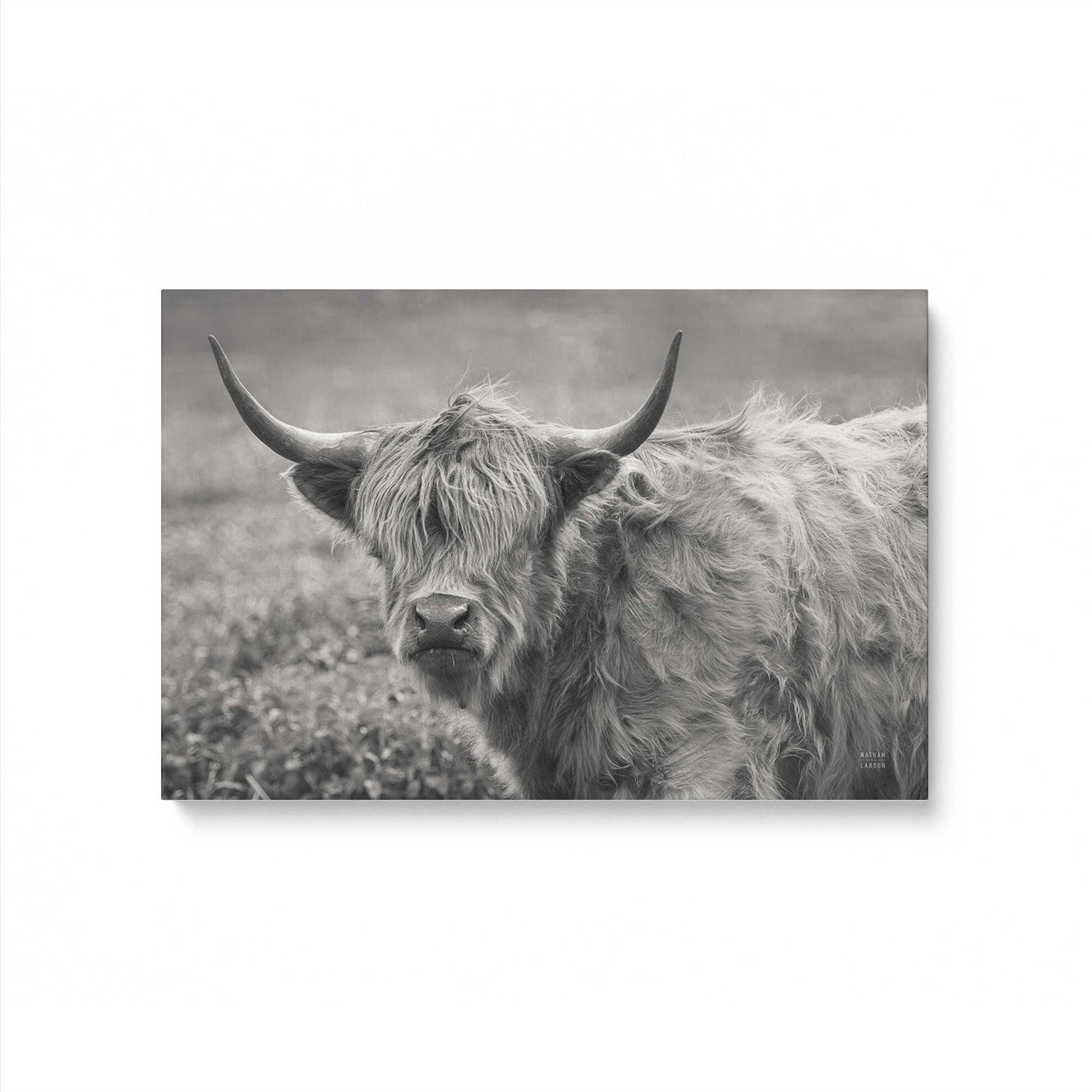 [Color:Stretched Canvas], Picture of art