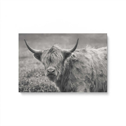 [Color:Stretched Canvas], Picture of art