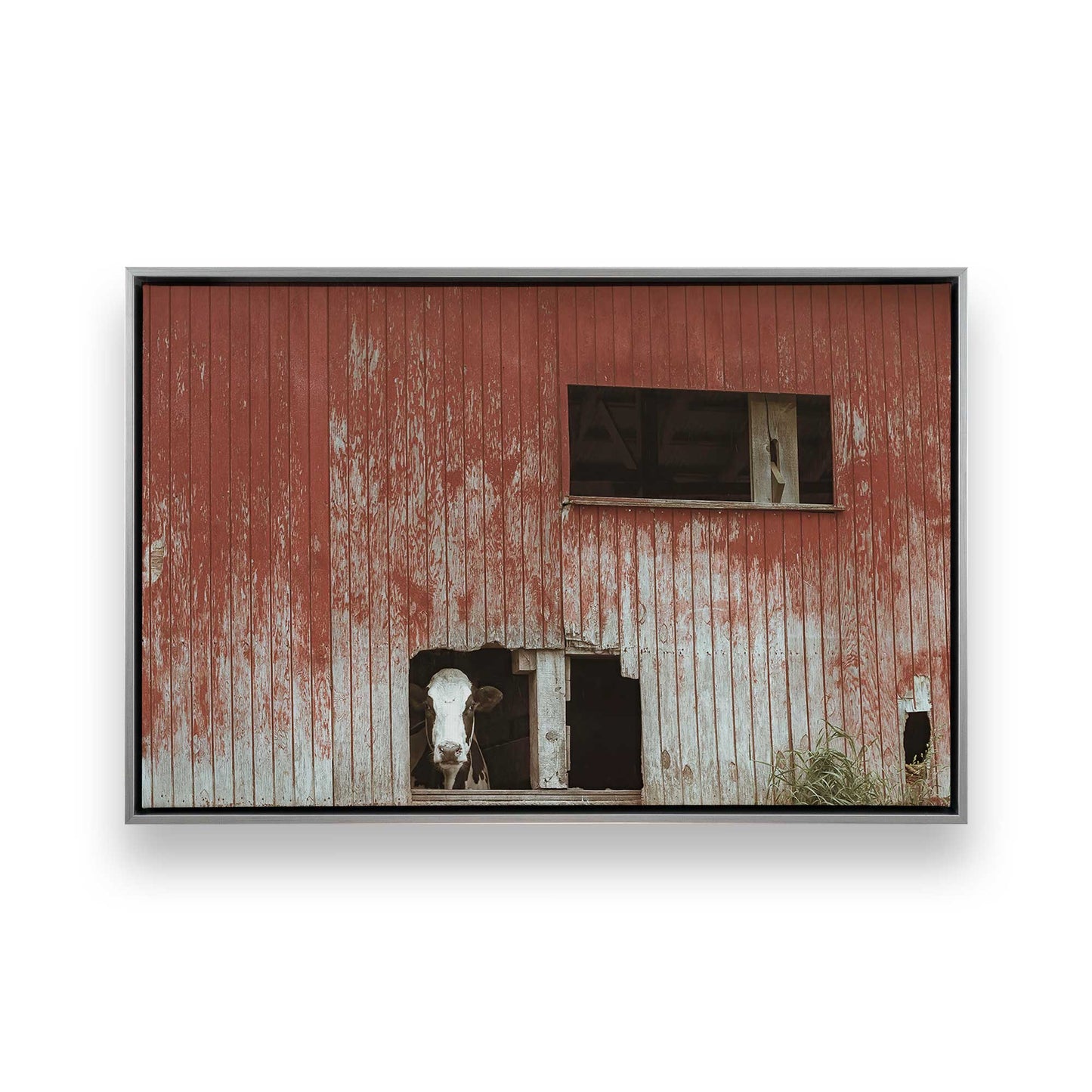 [Color:Polished Chrome], Picture of art in a Polished Chrome frame