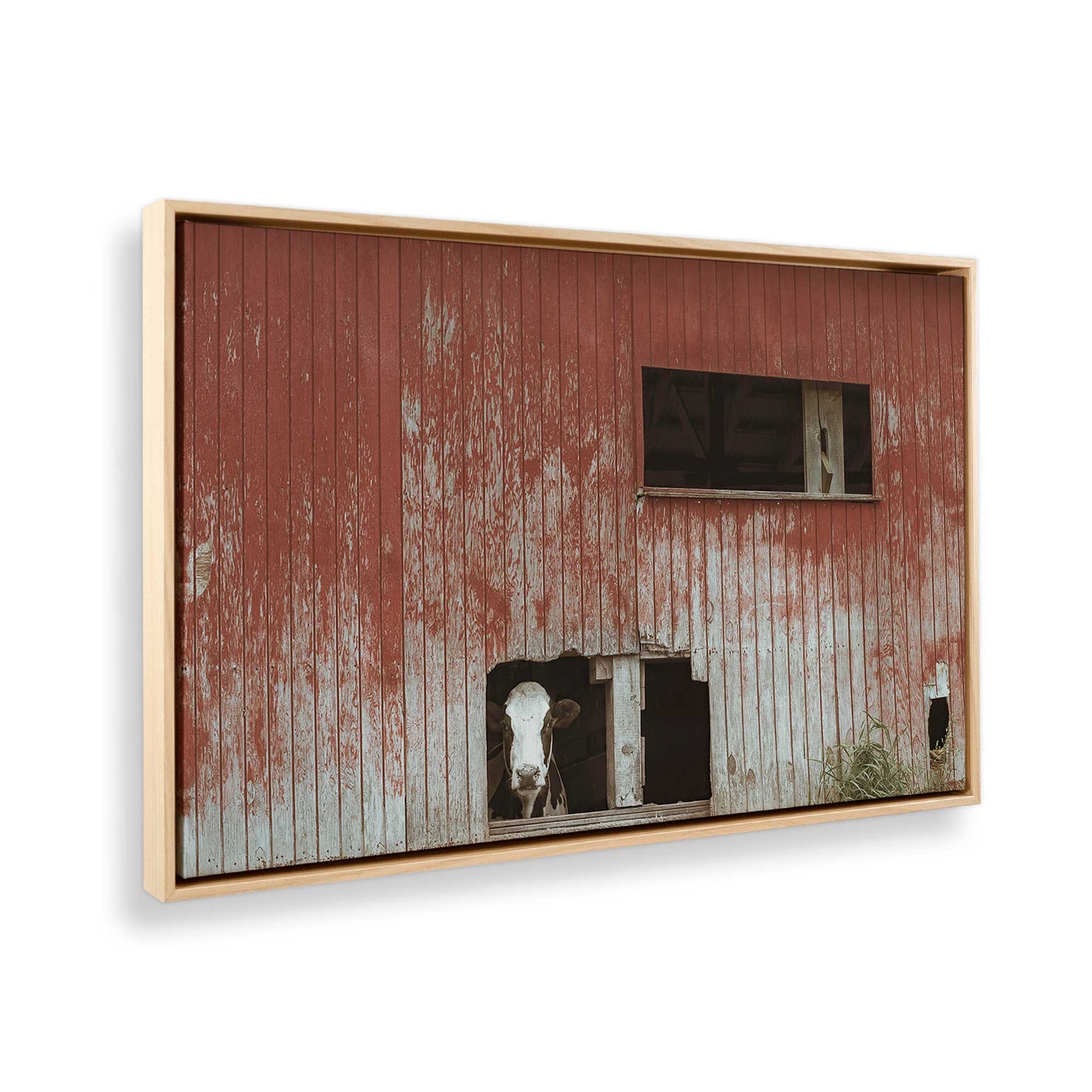 [Color:American Maple], Picture of the corner of the art