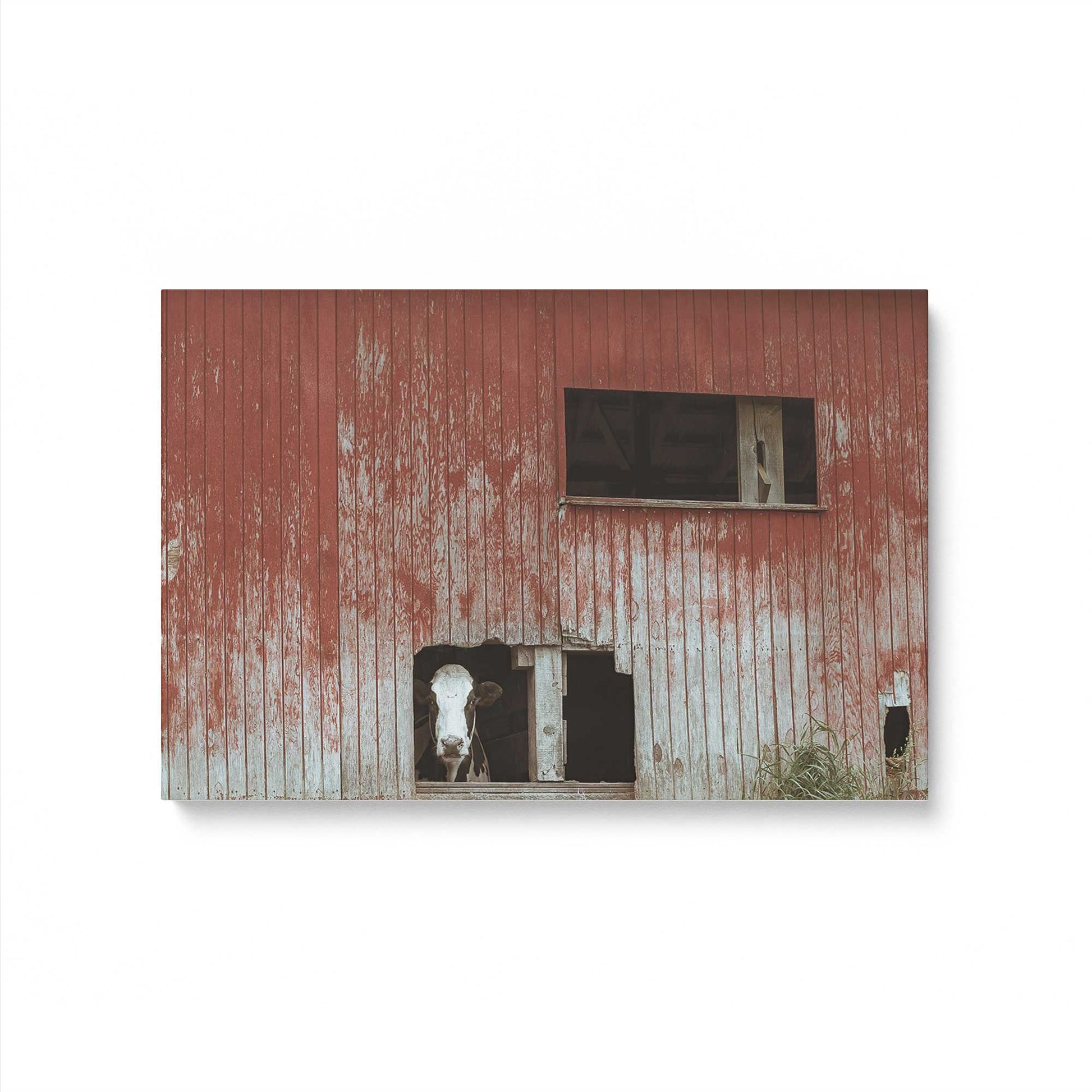 [Color:Stretched Canvas], Picture of art