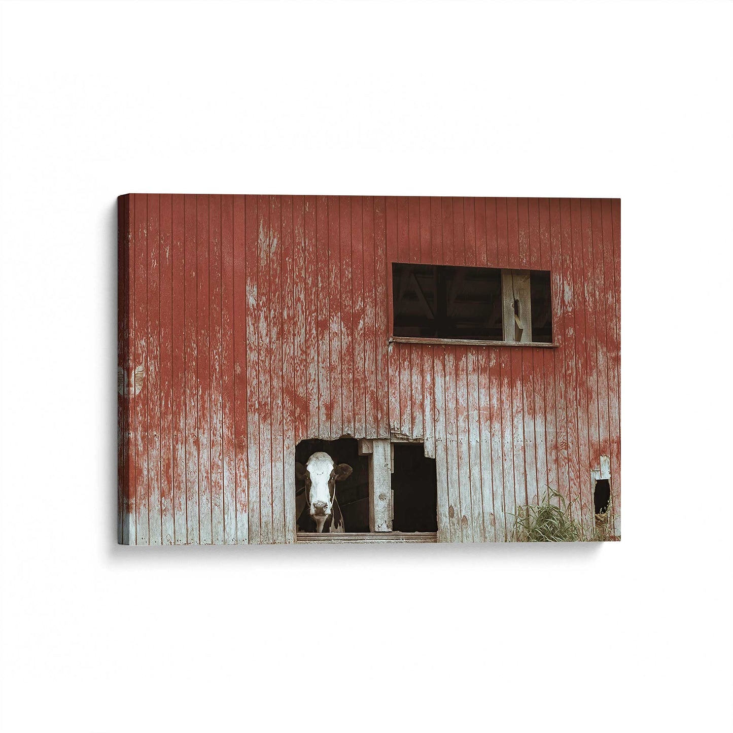 [Color:Stretched Canvas], Picture of art at an angle