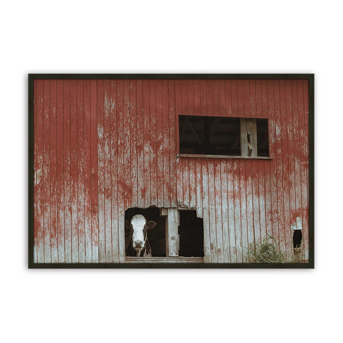 [Color:Satin Black], Picture of art in a Satin Black frame