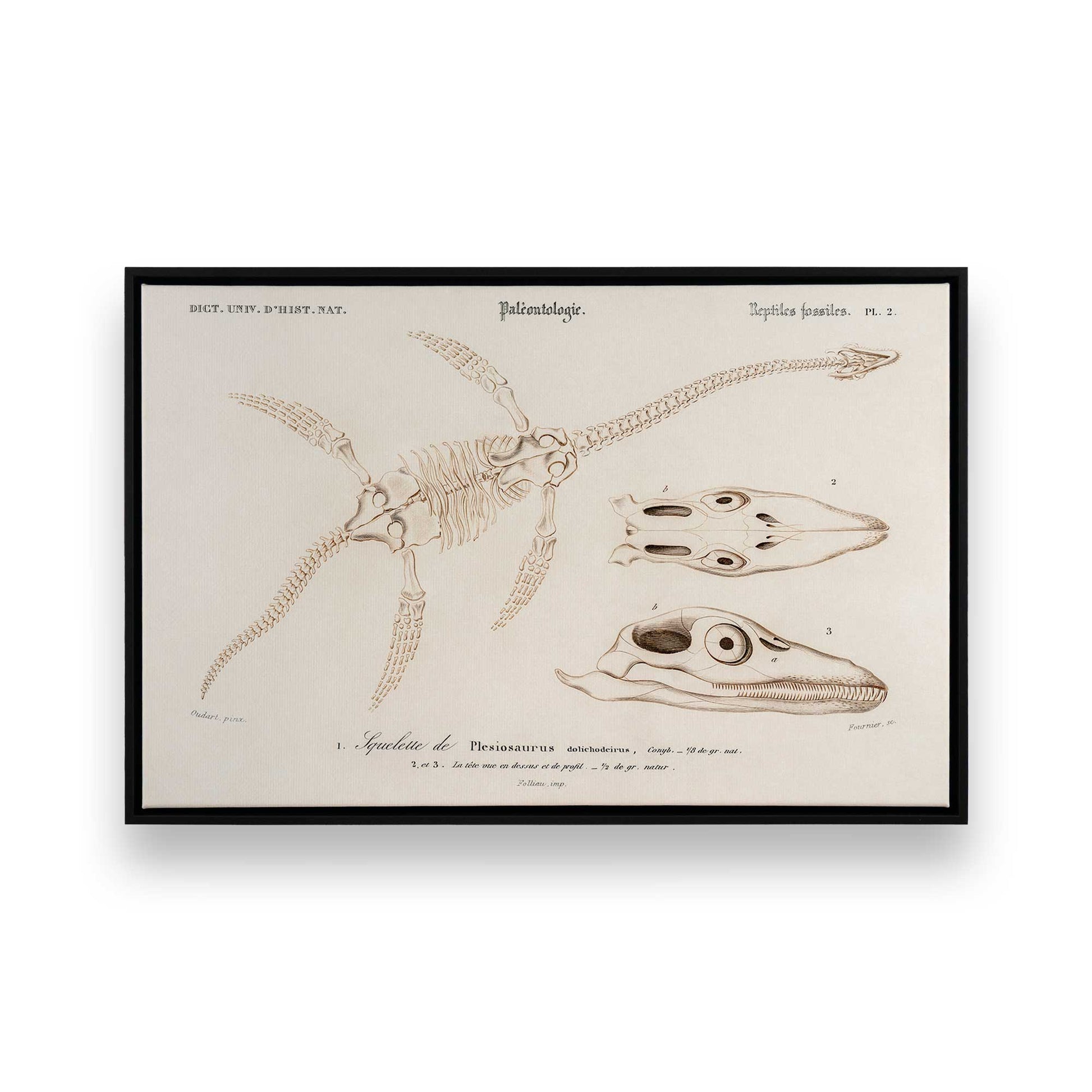 [Color:Satin Black], Picture of art in a Satin Black frame