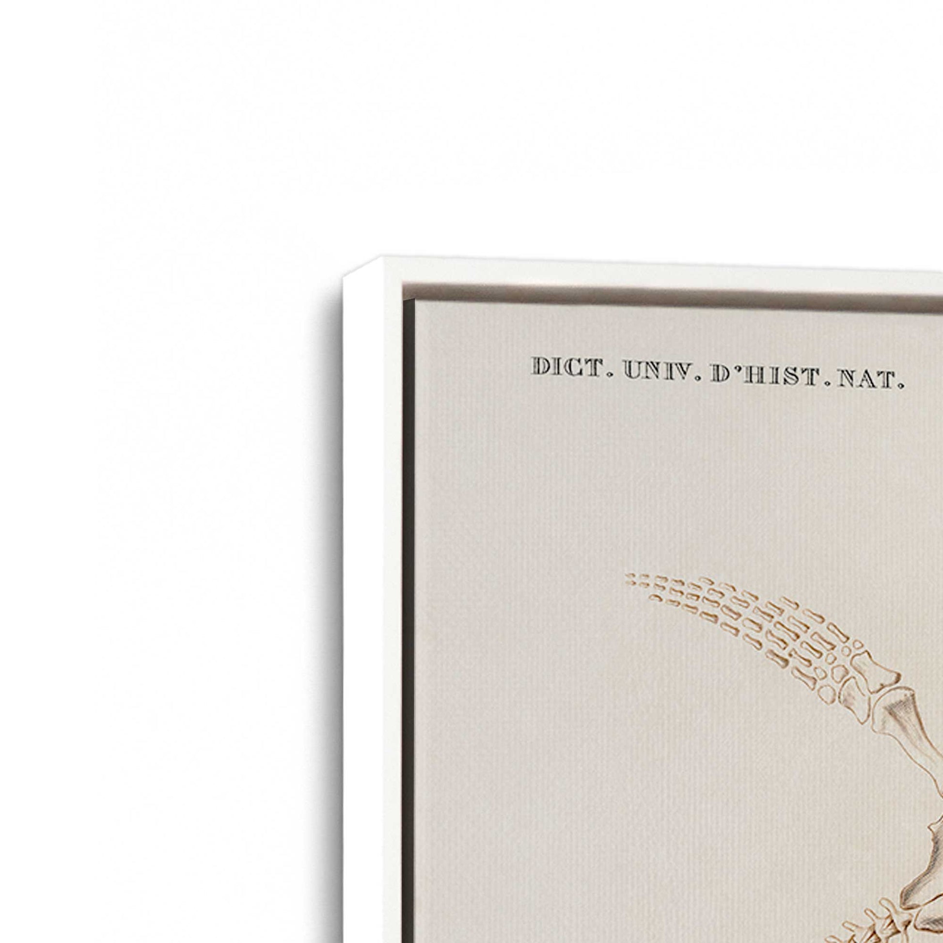 [Color:Opaque White], Picture of art in a White frame at an angle