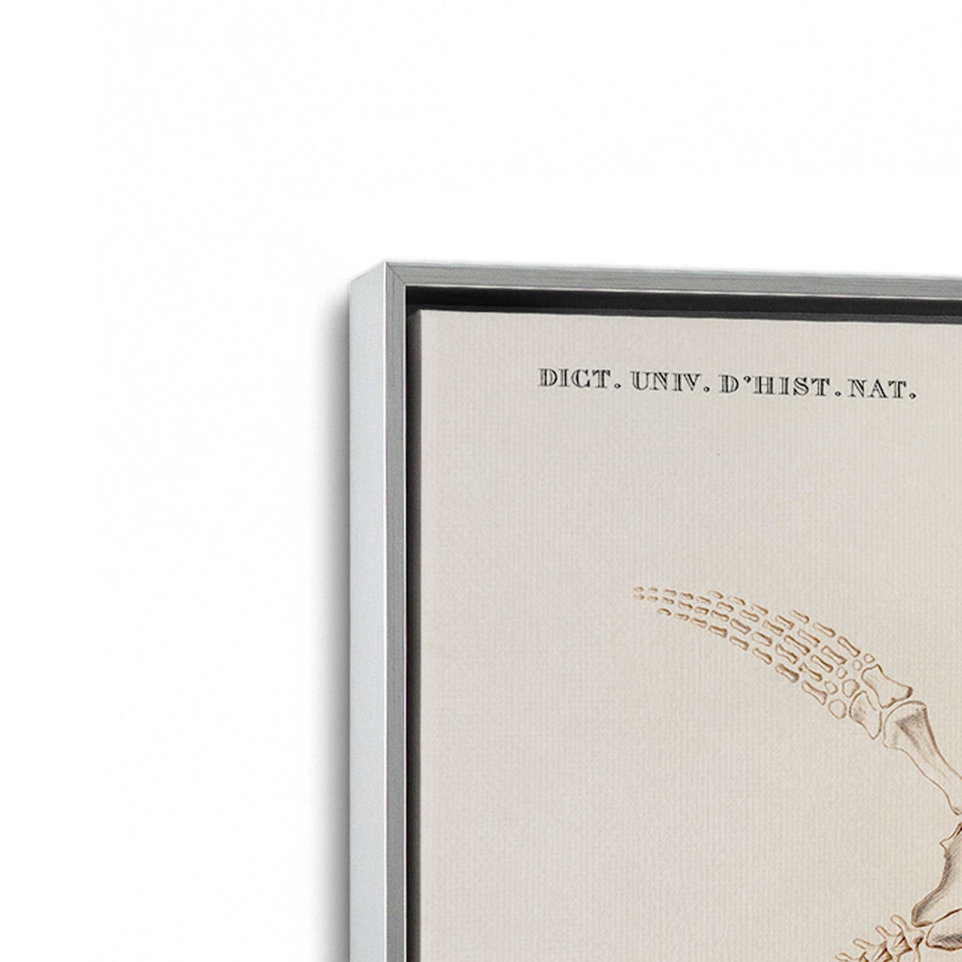 [Color:Polished Chrome], Picture of art in a Polished Chrome frame at an angle