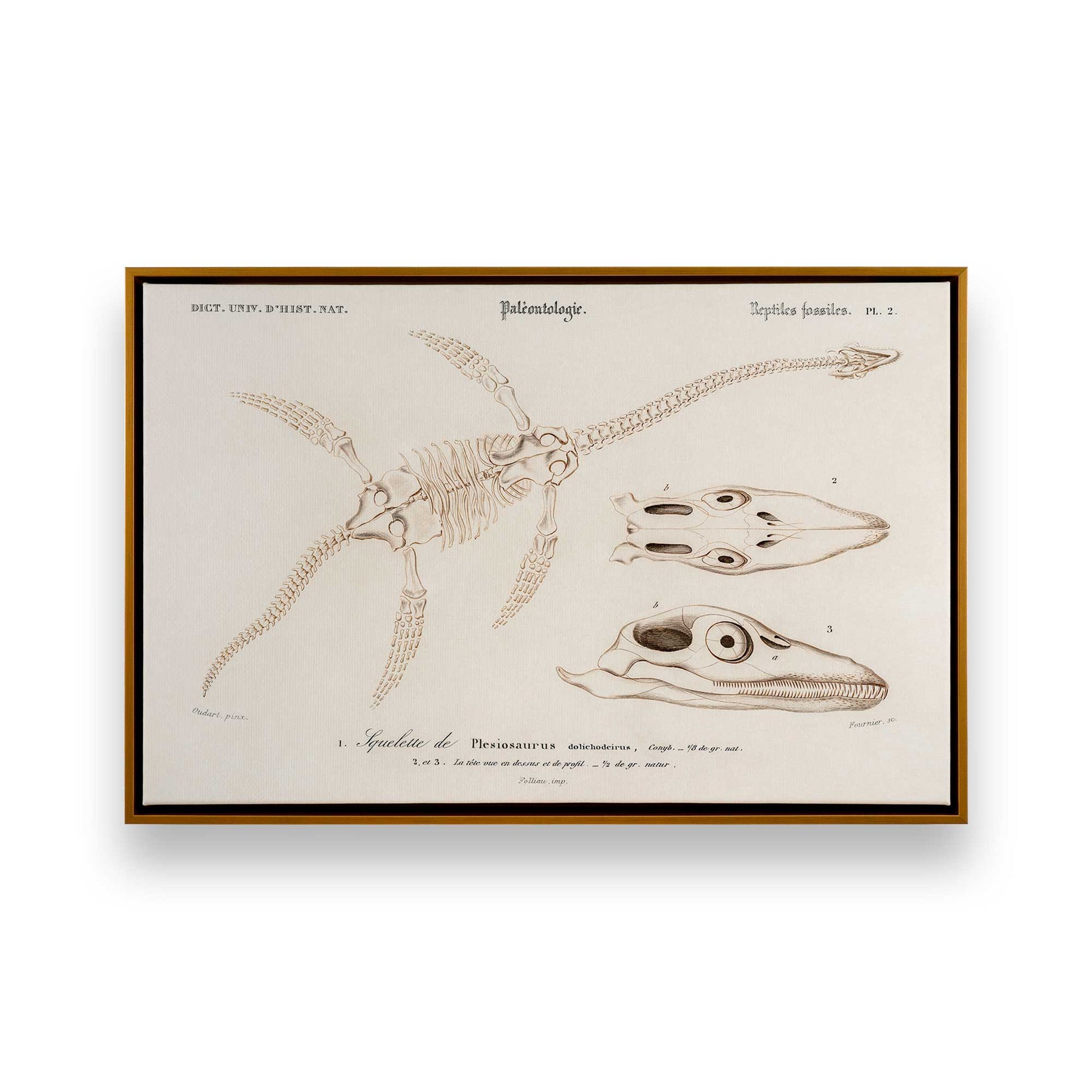 [Color:Polished Gold], Picture of art in a Polished Gold frame