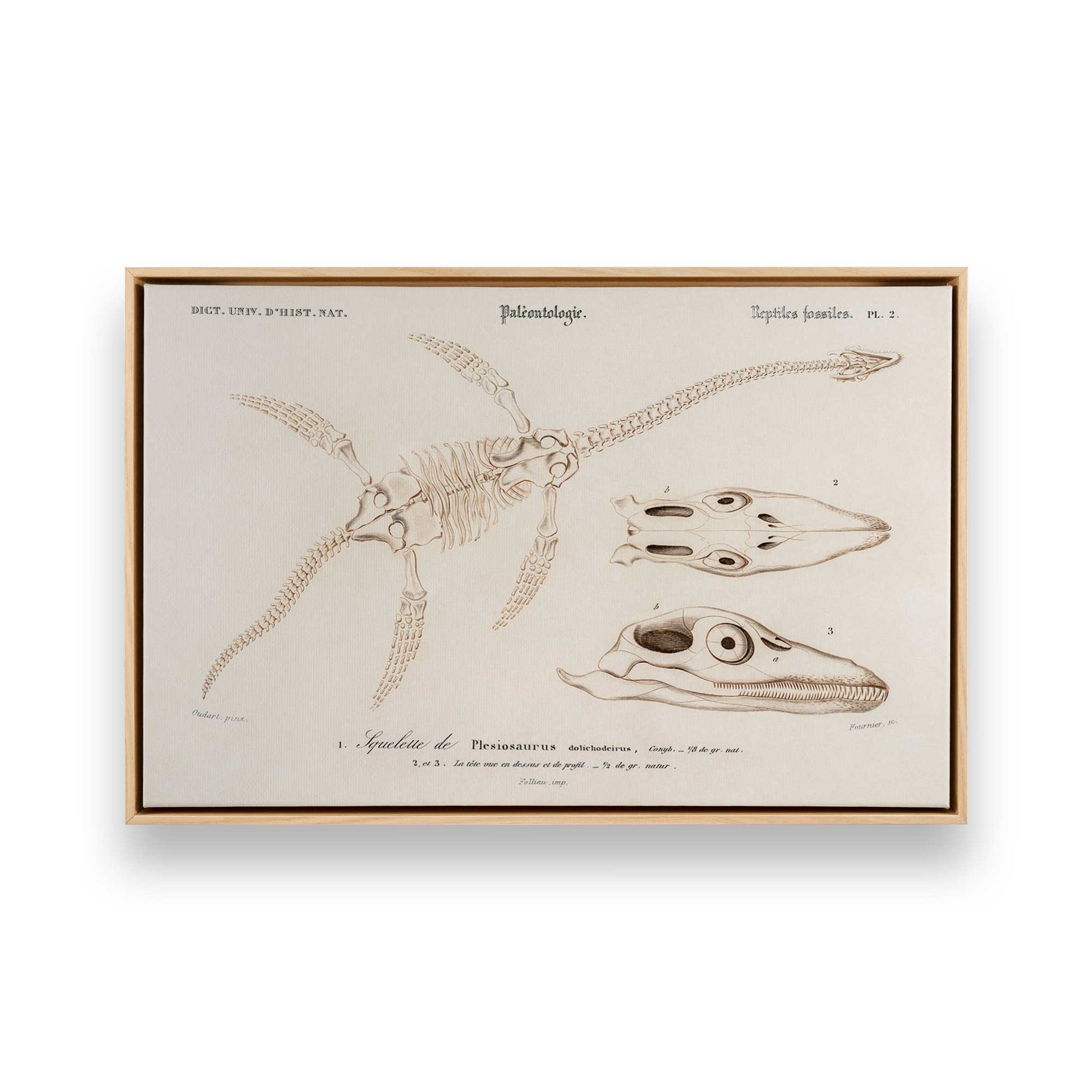 [Color:American Maple], Picture of art in a American Maple frame