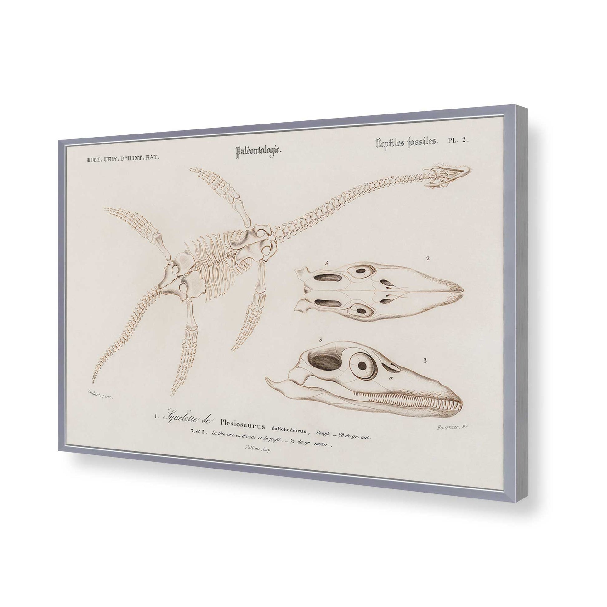 [Color:Polished Chrome], Picture of art in a Polished Chrome frame of the corner