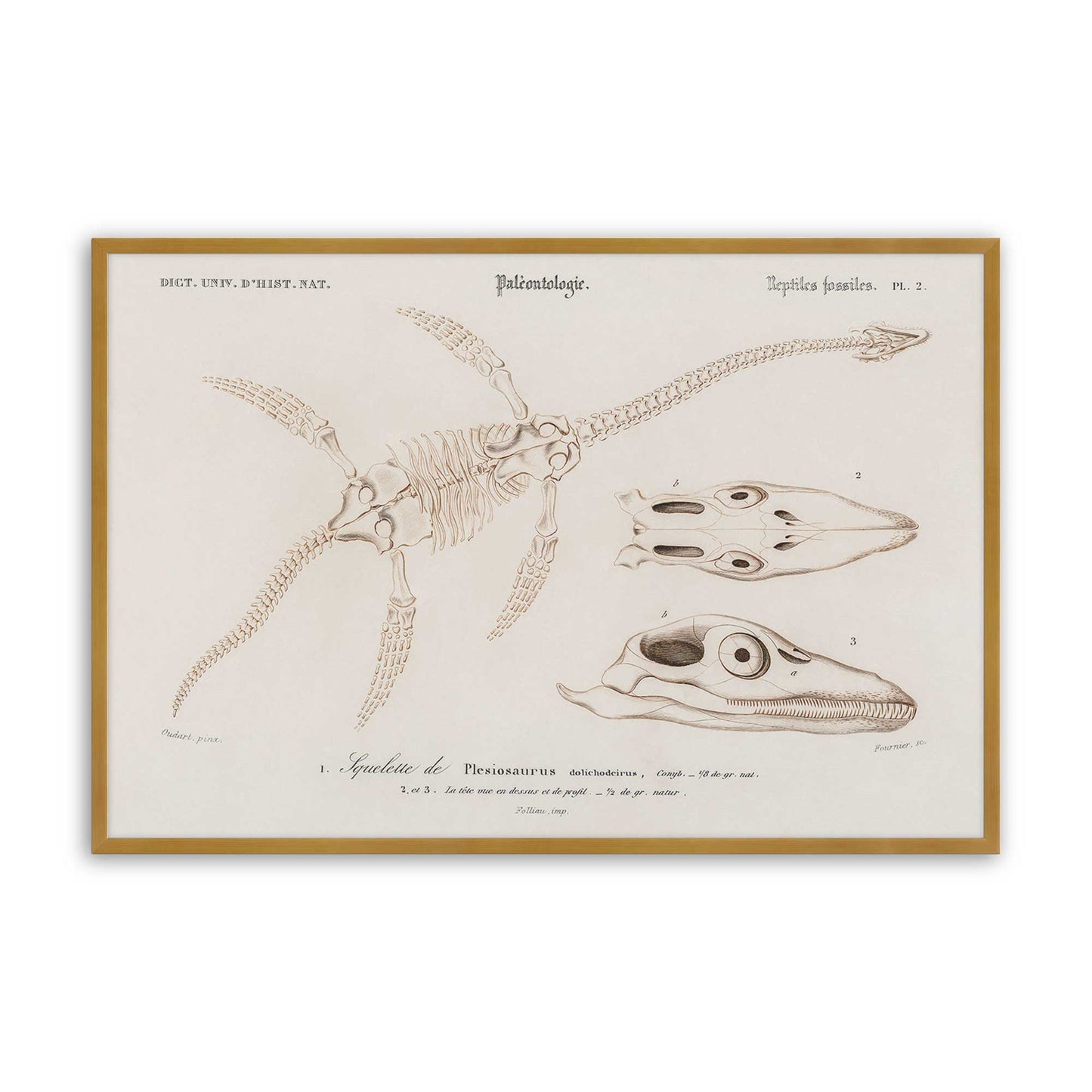 [Color:Polished Gold], Picture of art in a Polished Gold frame