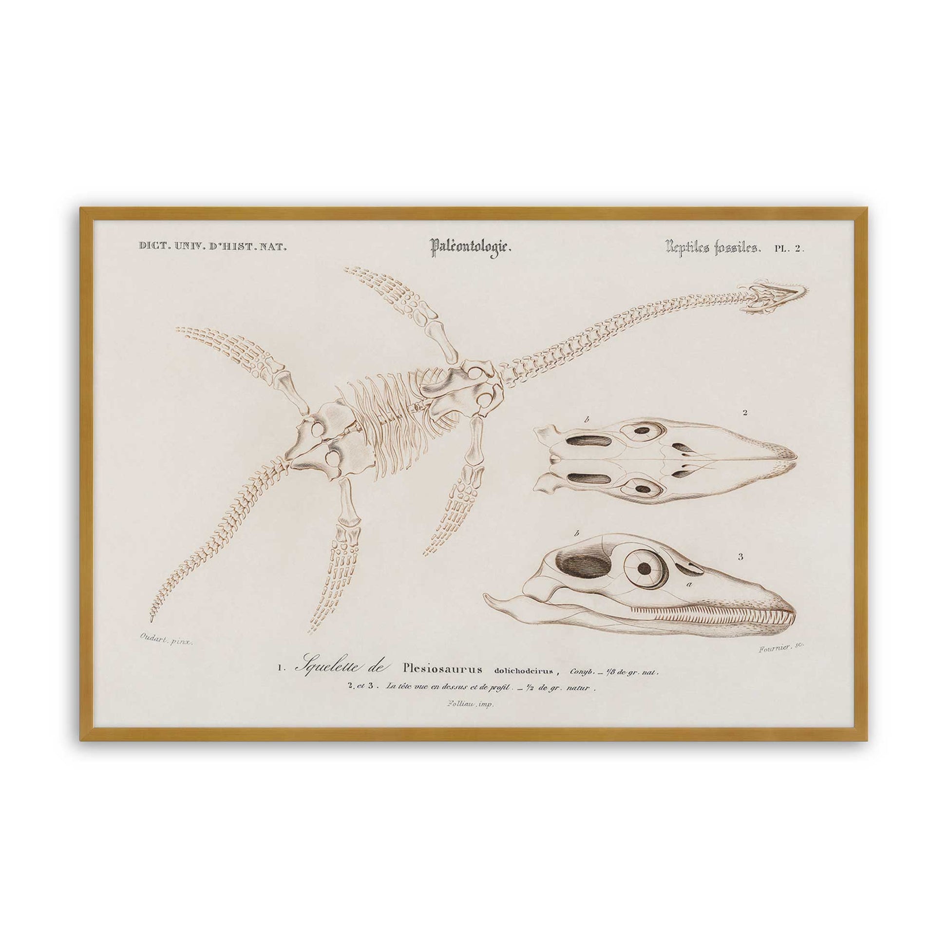 [Color:Polished Gold], Picture of art in a Polished Gold frame