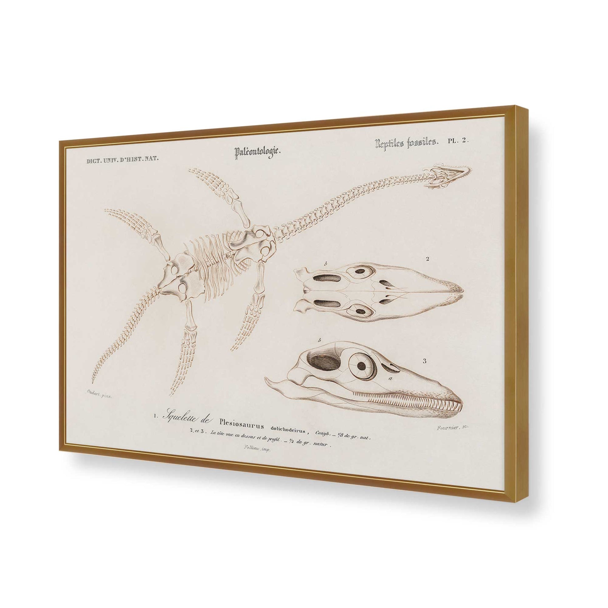 [Color:Polished Gold], Picture of art in a Polished Gold frame of the corner