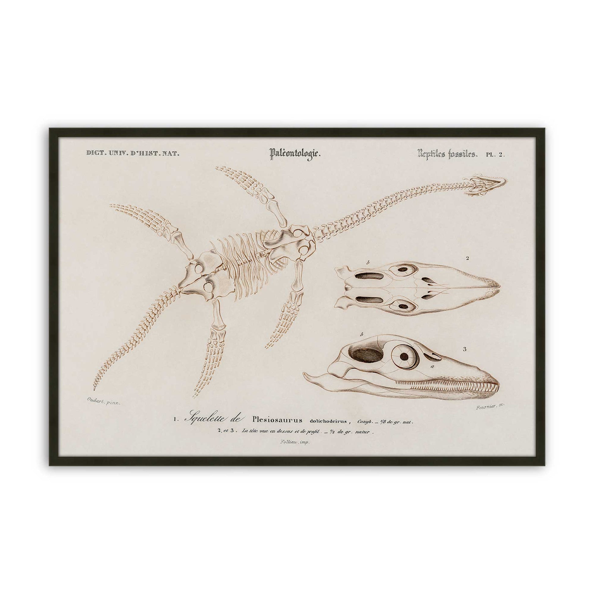 [Color:Satin Black], Picture of art in a Satin Black frame