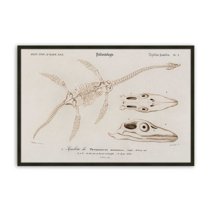 [Color:Satin Black], Picture of art in a Satin Black frame
