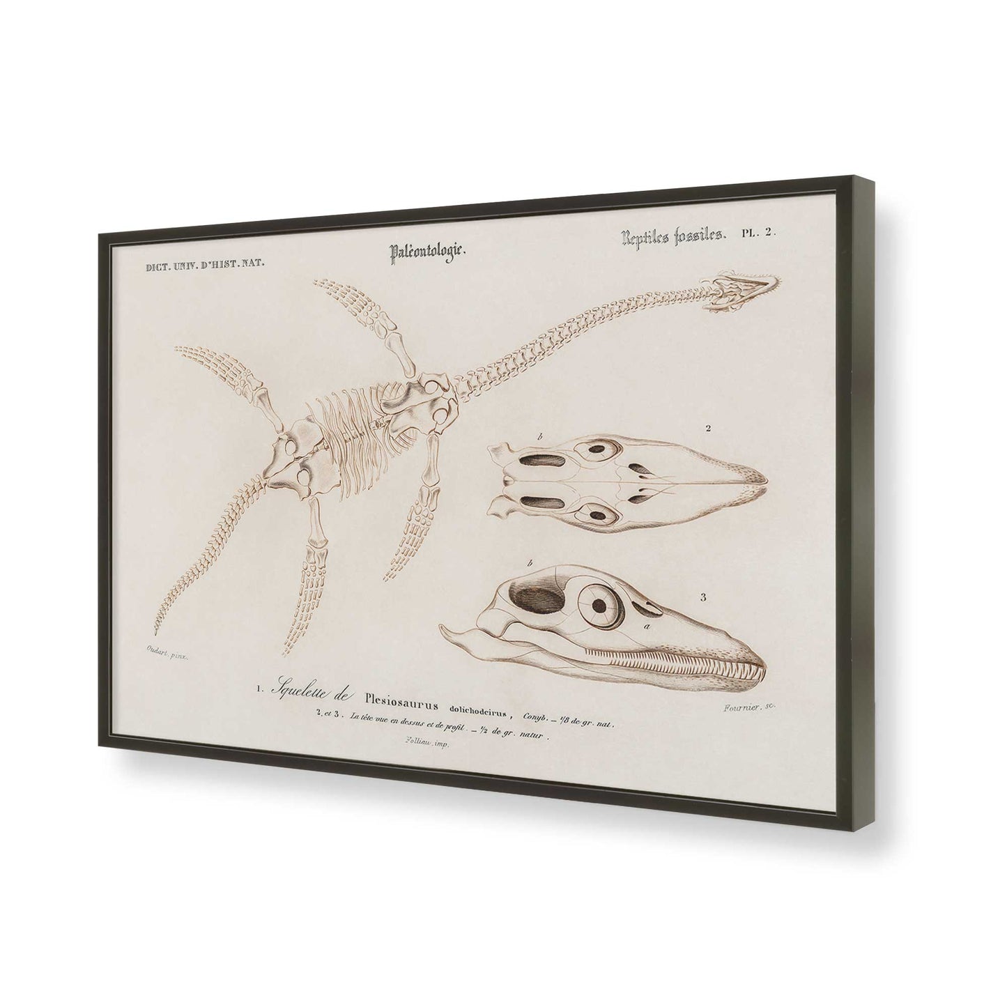 [Color:Satin Black], Picture of art in a Satin Black frame of the corner