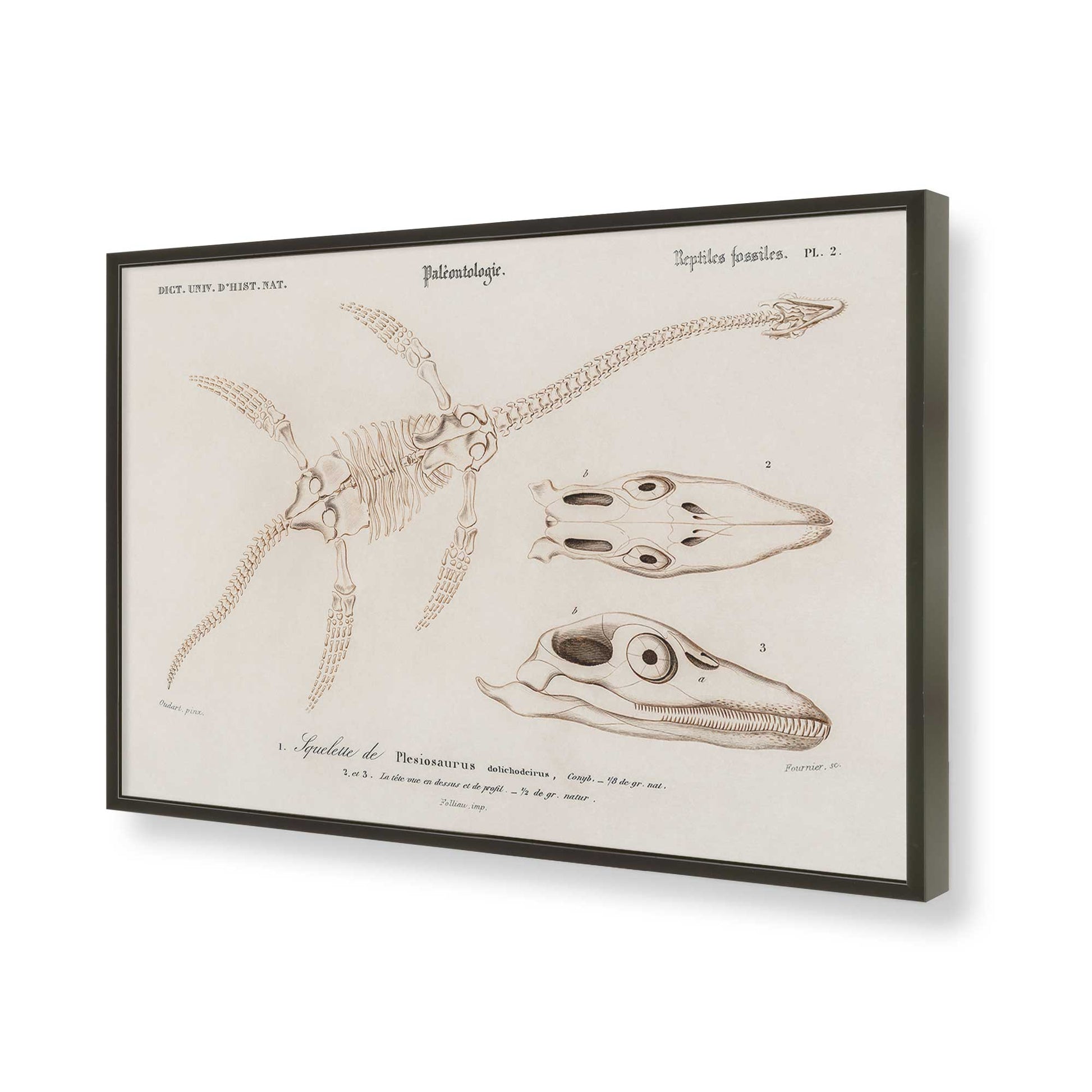 [Color:Satin Black], Picture of art in a Satin Black frame of the corner