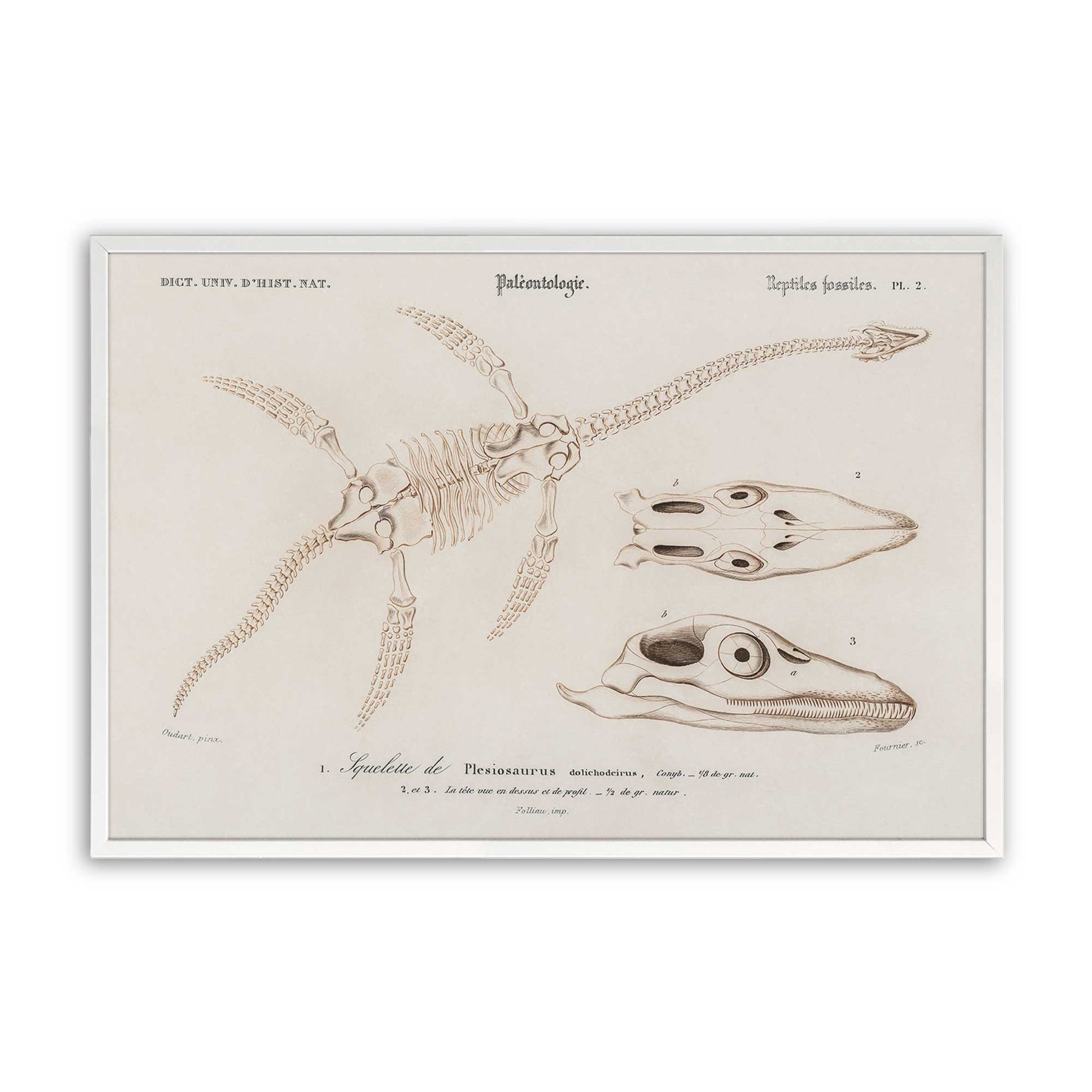 [Color:Opaque White], Picture of art in a Opaque White frame