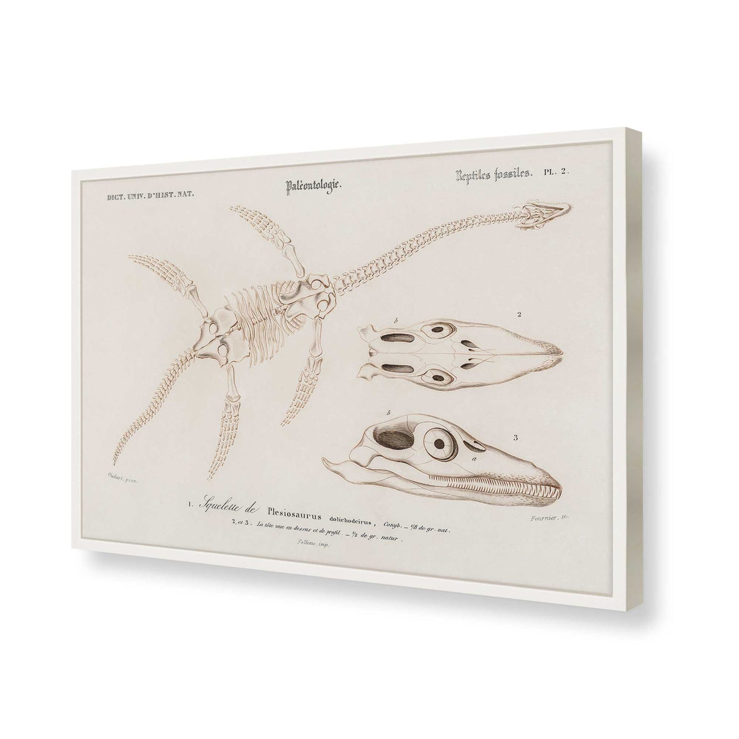 [Color:Opaque White], Picture of art in a Opaque White frame of the corner