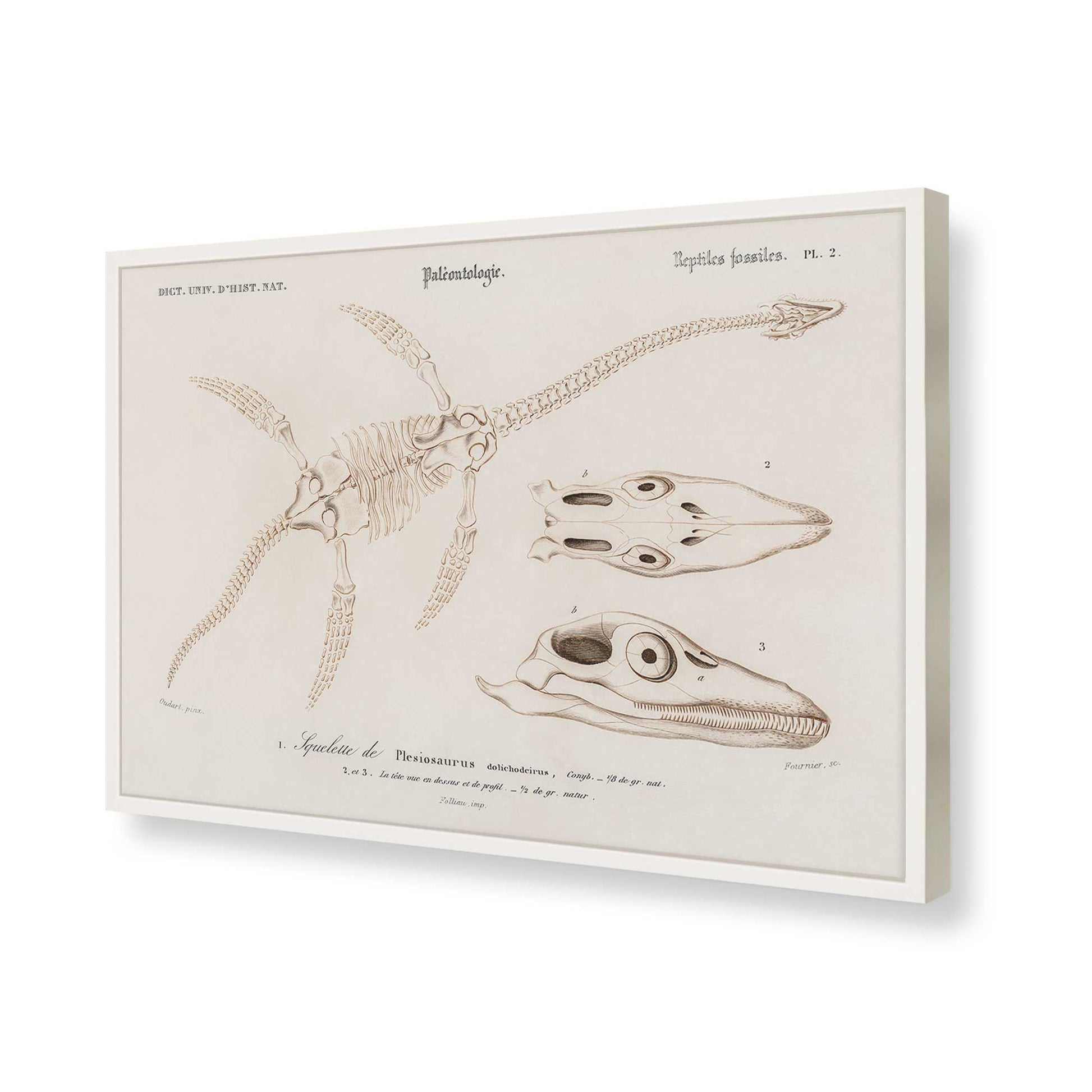 [Color:Opaque White], Picture of art in a Opaque White frame of the corner
