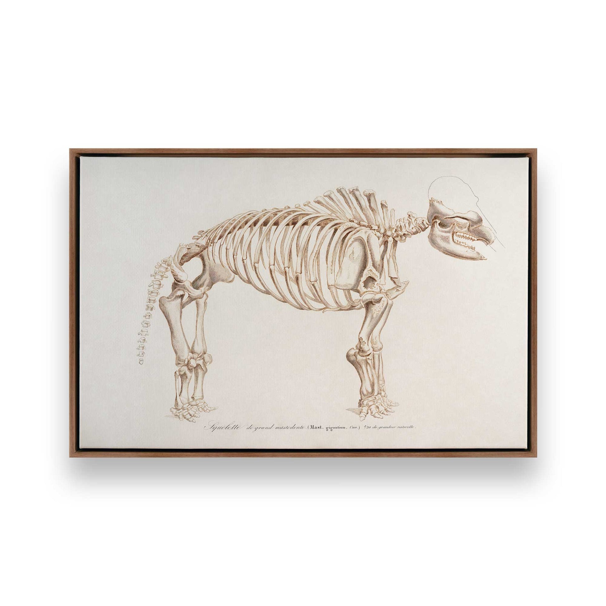 [Color:Walnut], Picture of art in a Walnut frame