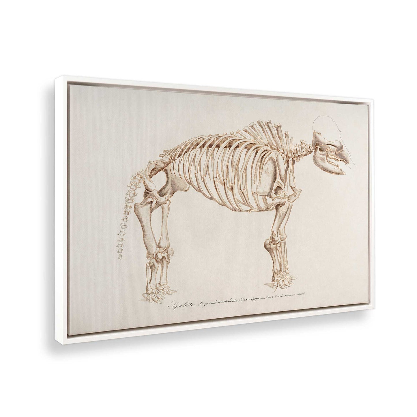 [Color:Opaque White], Picture of the corner of the art