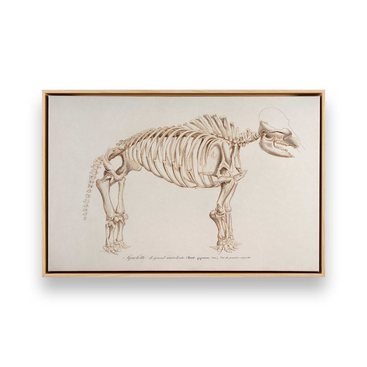 [Color:American Maple], Picture of art in a American Maple frame