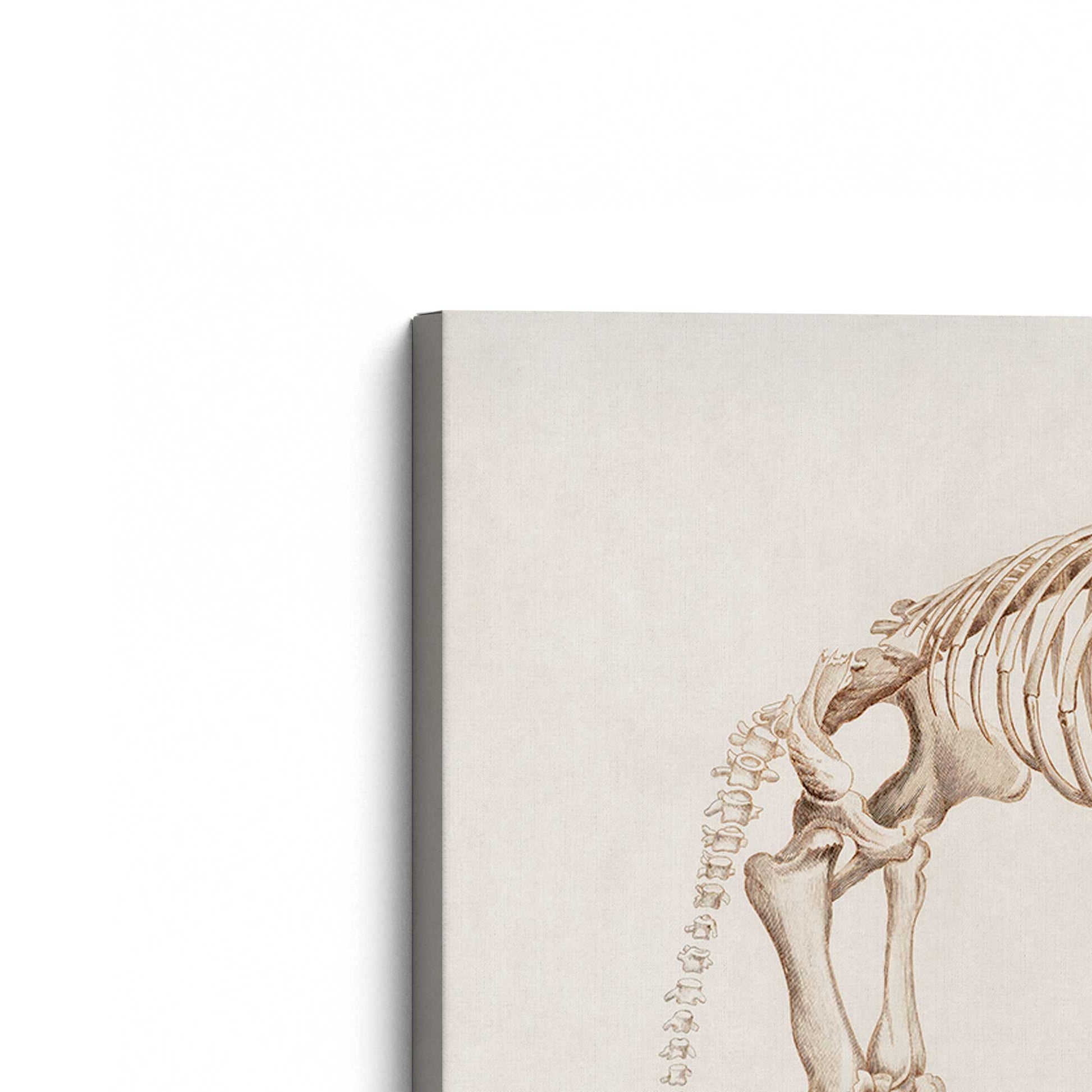 [Color:Stretched Canvas], Picture of the corner of the art