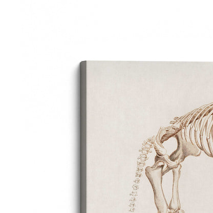 [Color:Stretched Canvas], Picture of the corner of the art