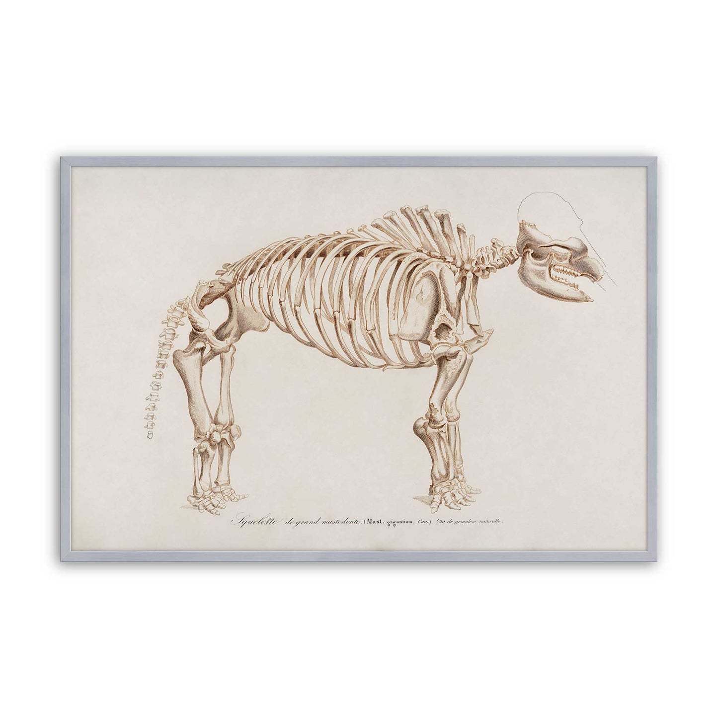 [Color:Polished Chrome], Picture of art in a Polished Chrome frame